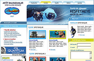 web tasarım